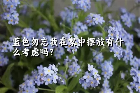 蓝色勿忘我在家中摆放有什么考虑吗？