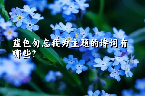 蓝色勿忘我为主题的诗词有哪些？