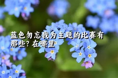 蓝色勿忘我为主题的比赛有那些？在哪里