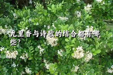 九里香与诗歌的结合都有哪些？