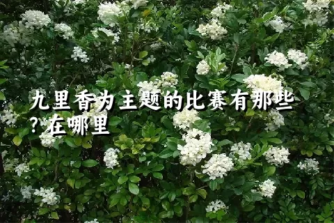 九里香为主题的比赛有那些？在哪里