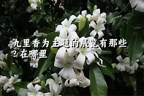 九里香为主题的展览有那些？在哪里