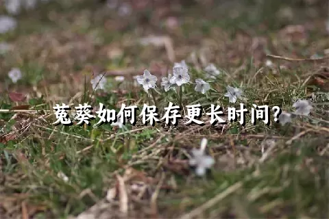 菟葵如何保存更长时间？
