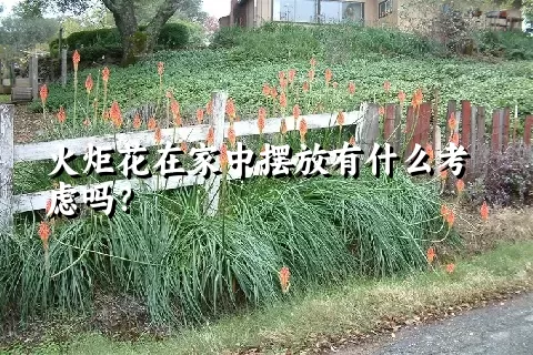 火炬花在家中摆放有什么考虑吗？