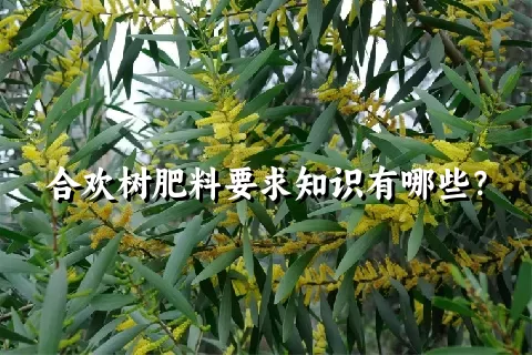 合欢树肥料要求知识有哪些？