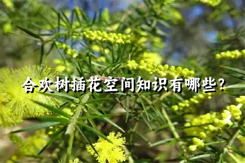 合欢树插花空间知识有哪些？