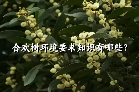 合欢树环境要求知识有哪些？