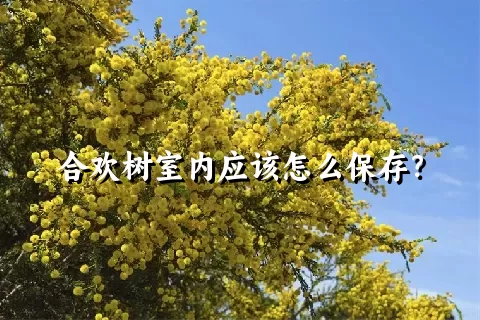 合欢树室内应该怎么保存？