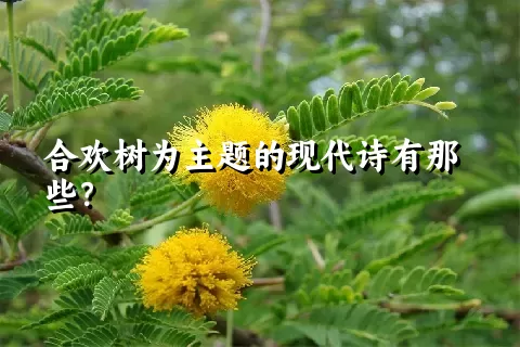 合欢树为主题的现代诗有那些？