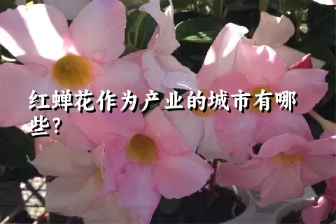 红蝉花作为产业的城市有哪些？