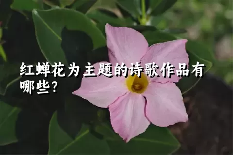 红蝉花为主题的诗歌作品有哪些？