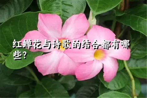红蝉花与诗歌的结合都有哪些？