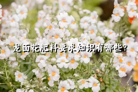 龙面花肥料要求知识有哪些？