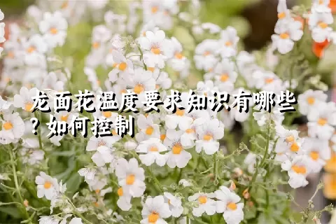 龙面花温度要求知识有哪些？如何控制