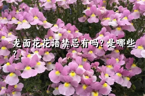 龙面花花语禁忌有吗？是哪些？