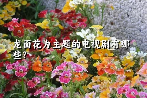 龙面花为主题的电视剧有哪些？