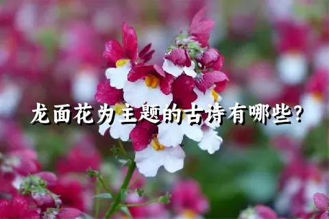 龙面花为主题的古诗有哪些？