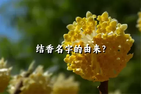 结香名字的由来？