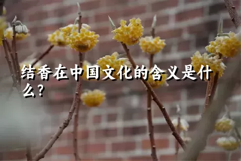 结香在中国文化的含义是什么？
