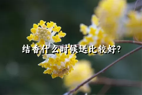 结香什么时候送比较好？