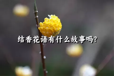 结香花语有什么故事吗？