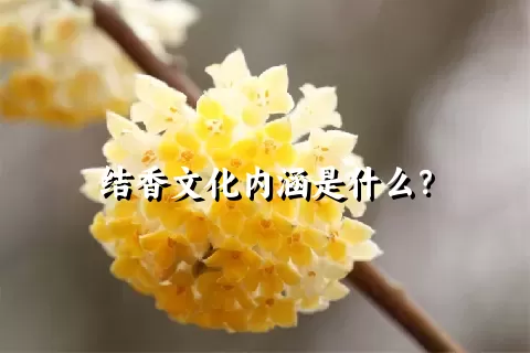 结香文化内涵是什么？
