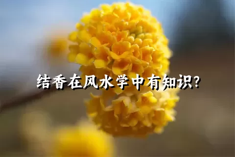 结香在风水学中有知识？