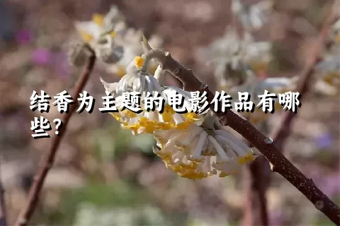 结香为主题的电影作品有哪些？