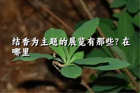 结香为主题的展览有那些？在哪里