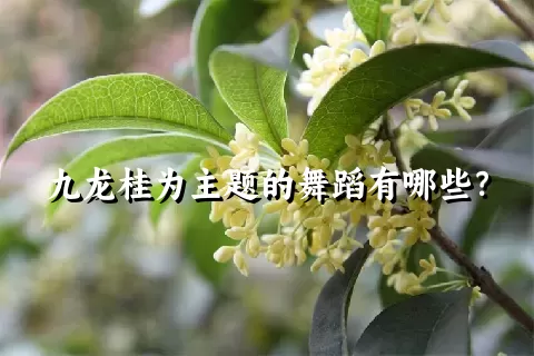 九龙桂为主题的舞蹈有哪些？
