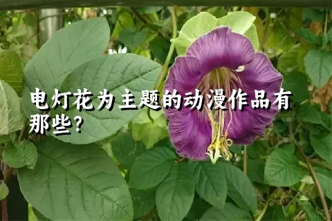 电灯花为主题的动漫作品有那些？