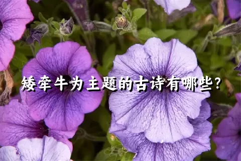 矮牵牛为主题的古诗有哪些？
