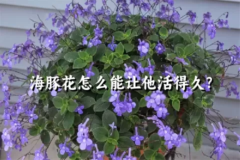 海豚花怎么能让他活得久？