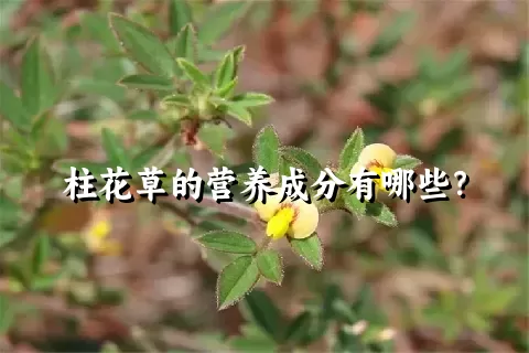柱花草的营养成分有哪些？