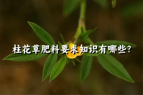 柱花草肥料要求知识有哪些？