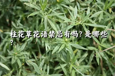 柱花草花语禁忌有吗？是哪些？