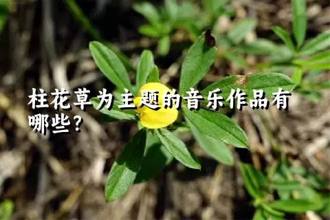 柱花草为主题的音乐作品有哪些？