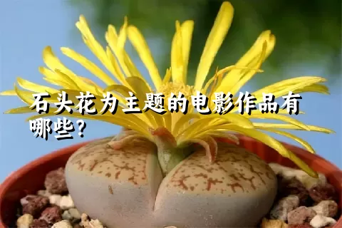 石头花为主题的电影作品有哪些？