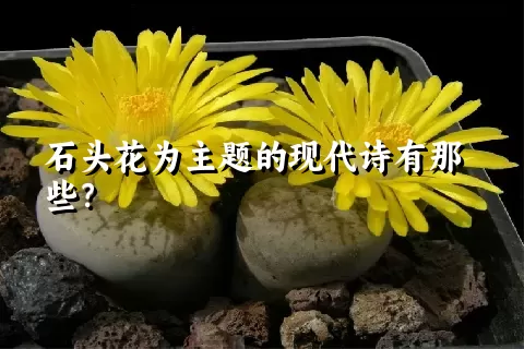 石头花为主题的现代诗有那些？