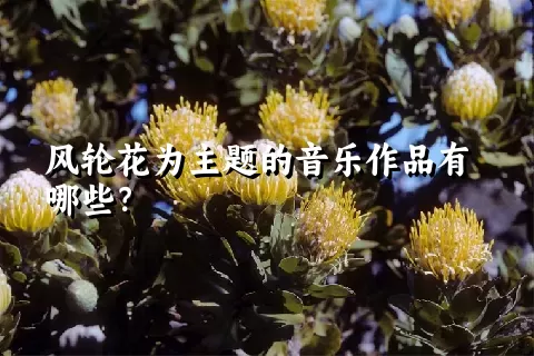 风轮花为主题的音乐作品有哪些？