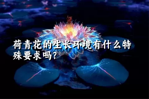 荷青花的生长环境有什么特殊要求吗？