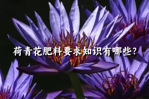 荷青花肥料要求知识有哪些？
