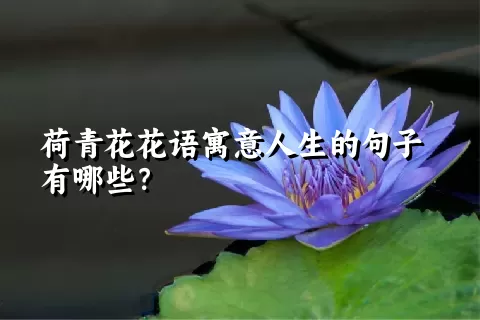 荷青花花语寓意人生的句子有哪些？
