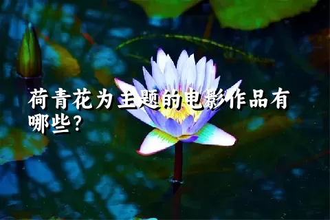 荷青花为主题的电影作品有哪些？