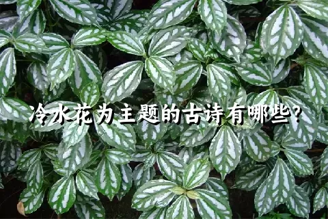 冷水花为主题的古诗有哪些？