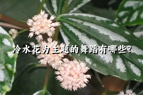 冷水花为主题的舞蹈有哪些？