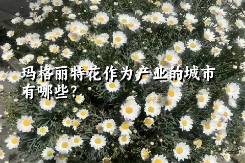 玛格丽特花作为产业的城市有哪些？