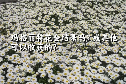 玛格丽特花会结果吗？或其他可以收获的？