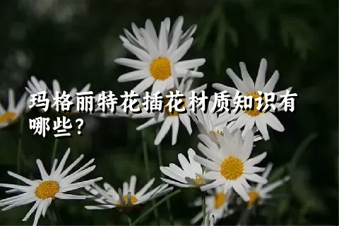 玛格丽特花插花材质知识有哪些？