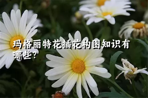 玛格丽特花插花构图知识有哪些？